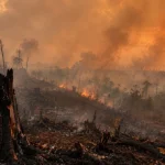 karhutla-dan-salah-urus-negara-dalam-tata-kelola-hutan
