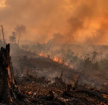 karhutla-dan-salah-urus-negara-dalam-tata-kelola-hutan