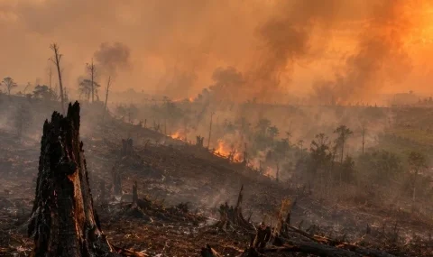 karhutla-dan-salah-urus-negara-dalam-tata-kelola-hutan