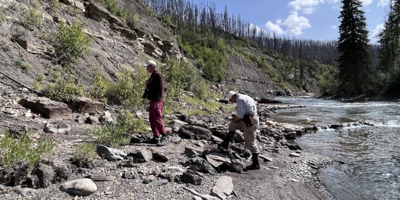 we-discovered-rare-dinosaur-tracks-from-the-coniacian-age-near-tumbler-ridge,-british-columbia