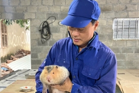 hantavirus-exposure-among-wildlife-farmers-in-vietnam:-a-warning-for-southeast-asia