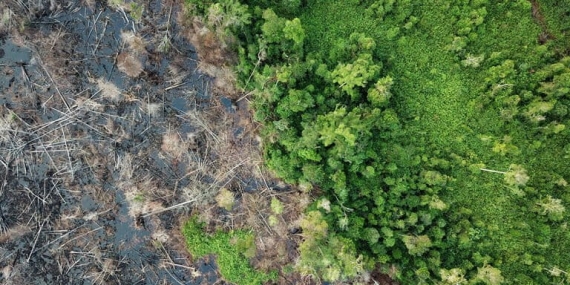 marak-karhutla,-studi-tentang-murahnya-membuka-lahan-dengan-cara-dibakar-jadi-sorotan