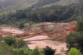 ancaman-tambang-emas-ilegal-di-hulu-danau-sentani