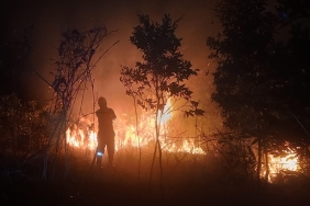 warga-kalimantan-selatan-tercekik-asap,-mengais-air-di-sungai-yang-mengering