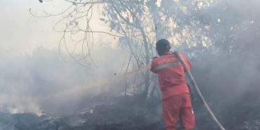 gambut-kalimantan-tengah-terus-membara