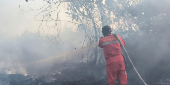 gambut-kalimantan-tengah-terus-membara