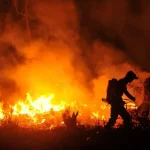 hutan-dan-lahan-terbakar-lagi:-negara-harus-serius-menuntut-tanggung-jawab-korporasi