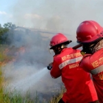 kabut-asap-dan-karhutla-berulang-di-sumatera-selatan