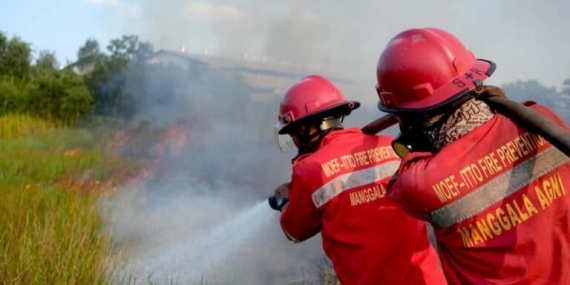 kabut-asap-dan-karhutla-berulang-di-sumatera-selatan