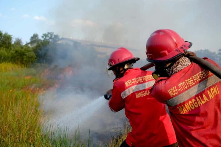 kabut-asap-dan-karhutla-berulang-di-sumatera-selatan