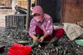 upaya-perempuan-dan-generasi-muda-dadap-di-tengah-kerusakan-pesisir