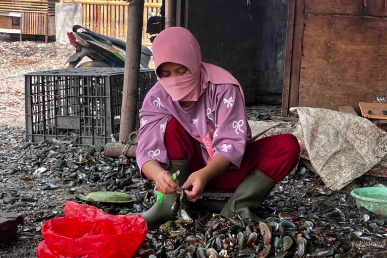 upaya-perempuan-dan-generasi-muda-dadap-di-tengah-kerusakan-pesisir