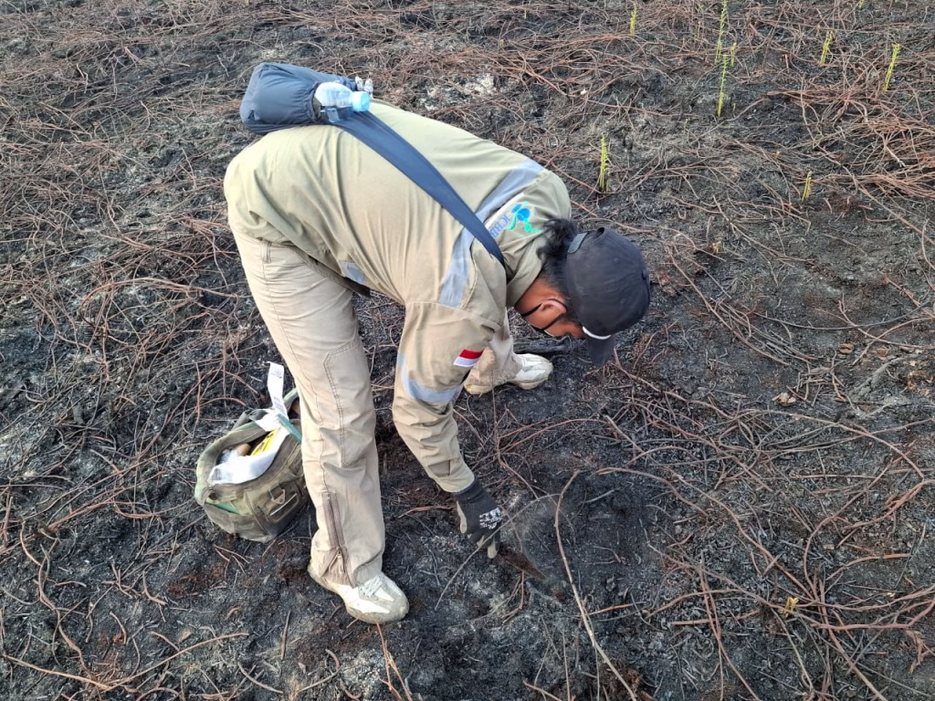 klh-buru-42-perusahaan-terduga-pembakar-hutan-kalimantan-dan-sumatera