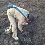 klh-buru-42-perusahaan-terduga-pembakar-hutan-kalimantan-dan-sumatera