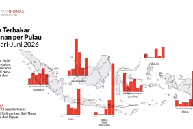 savana-nusa-tenggara-jadi-episentrum-baru-kebakaran-lahan-indonesia