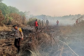 pertarungan-tanpa-henti-melawan-api-di-lahan-gambut