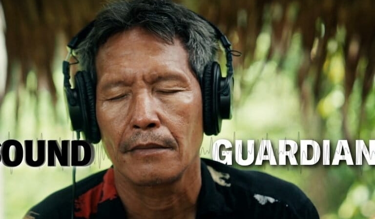 suara-hutan-kalimantan-berubah,-seiring-deru-mesin-pembangunan-ibu-kota-nusantara