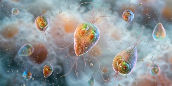 giardiasis-cases-are-rising-in-england:-should-we-be-worried?
