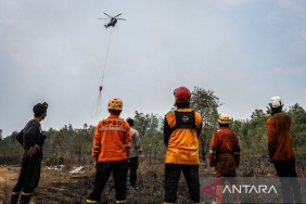 bnpb:-karhutla-di-kalsel-capai-348-ha,-lima-helikopter-dikerahkan