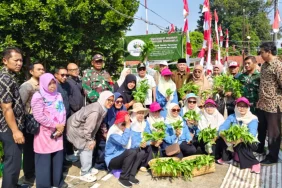 dari-dapur-ke-pekarangan:-perempuan-kota-dan-pertaruhan-ketahanan-pangan