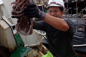 kecoak-laut-raksasa,-penghuni-laut-dalam-dari-perairan-jawa
