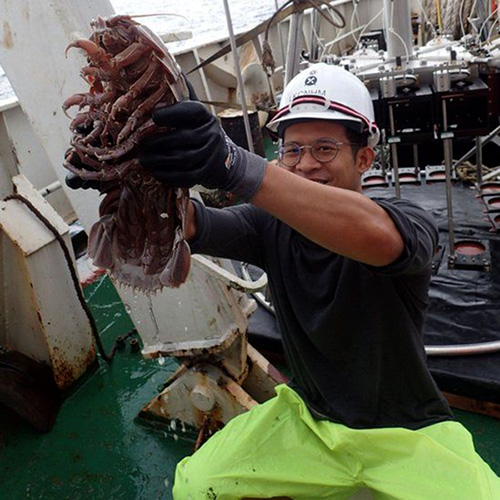 kecoak-laut-raksasa,-penghuni-laut-dalam-dari-perairan-jawa