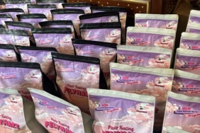mahasiswa-olah-ampas-tebu-jadi-pasir-kucing-organik-antimikroba