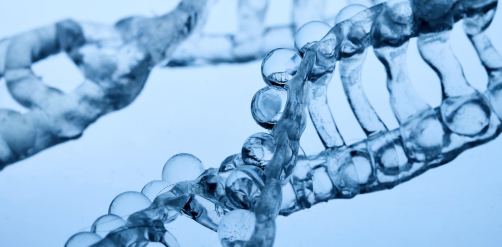 how-a-little-stress-may-help-our-cells-protect-themselves
