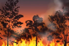 6.902-hotspot-di-kalimantan-bikin-udara-tak-sehat,-tata-kelola-karhutla-disorot