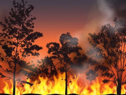 6.902-hotspot-di-kalimantan-bikin-udara-tak-sehat,-tata-kelola-karhutla-disorot