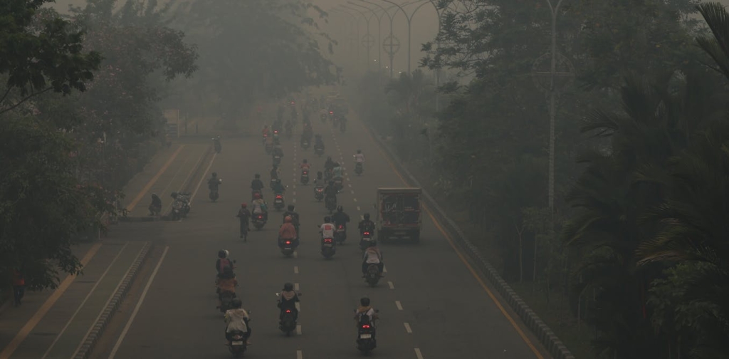 mengapa-sanksi-pelaku-karhutla-amat-timpang-dengan-kerugian-berantai-yang-ditimbulkannya?