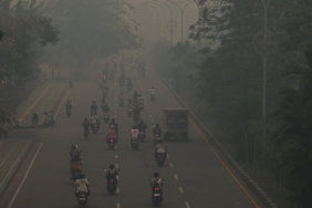 mengapa-sanksi-pelaku-karhutla-amat-timpang-dengan-kerugian-berantai-yang-ditimbulkannya?