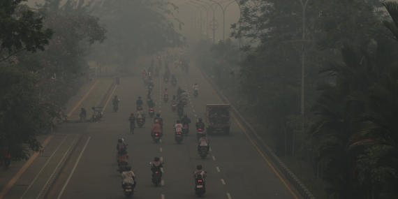 mengapa-sanksi-pelaku-karhutla-amat-timpang-dengan-kerugian-berantai-yang-ditimbulkannya?
