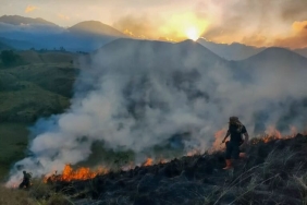 karhutla-jawa-timur,-potret-buruknya-tata-kelola-hutan?