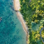 mikroba-laut-indonesia-jadi-sumber-ectoine,-kandungan-untuk-kosmetik-antipenuaan