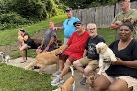 dog-parks-are-an-antidote-to-the-isolation-and-divisions-that-social-media-can-fuel