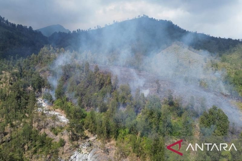 pemkab-banyuwangi-tetapkan-status-tanggap-darurat-karhutla-twa-ijen
