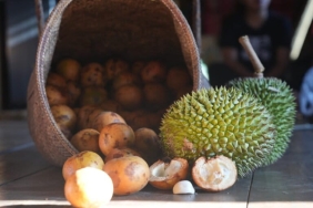 jelajah-meratus:-berkunjung-ke-juhu,-desa-surga-flora-fauna-[2]