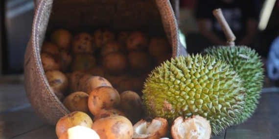 jelajah-meratus:-berkunjung-ke-juhu,-desa-surga-flora-fauna-[2]