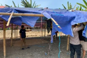 polisi-bongkar-paksa-fasilitas-arena-judi-sabung-ayam-di-gresik
