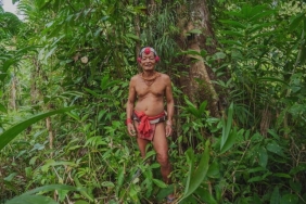 kembalikan-hutan-mentawai-pada-masyarakat-adat