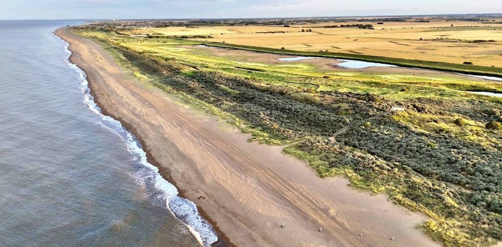 saltwater-flooding-could-radically-change-which-crops-are-worth-growing