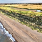 saltwater-flooding-could-radically-change-which-crops-are-worth-growing