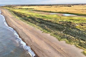 saltwater-flooding-could-radically-change-which-crops-are-worth-growing