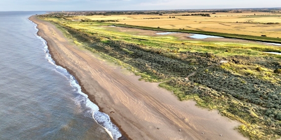 saltwater-flooding-could-radically-change-which-crops-are-worth-growing