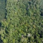 krisis-air,-hutan-adat-pertahanan-terakhir-suku-mapur