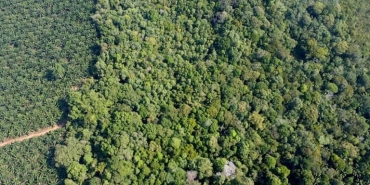 krisis-air,-hutan-adat-pertahanan-terakhir-suku-mapur