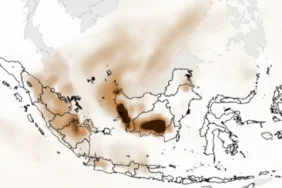 76.922-hektare-terbakar,-polutan-asap-karhutla-kalimantan-terasa-ke-malaysia-hingga-singapura