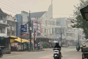 keselamatan-dan-hak-anak-harus-jadi-prioritas-dalam-penanganan-karhutla