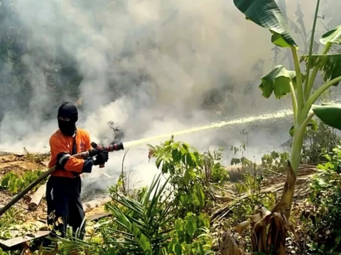 72-ribu-hektare-lahan-gambut-terbakar-di-6-provinsi